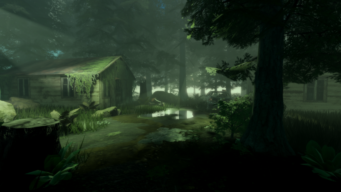 Forest Showcase